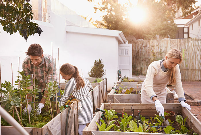  Alzheimer's Specialist San Diego - Grow a Garden to Guard Your Brain Function