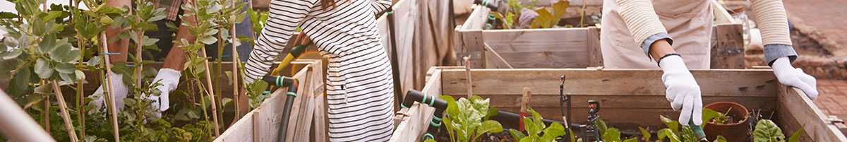 Grow a Garden to Guard Your Brain Function