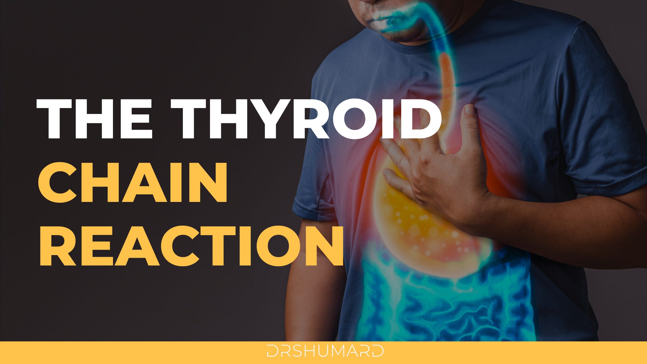 the thyroid chain reaction